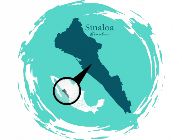 Sinaloense Island Map